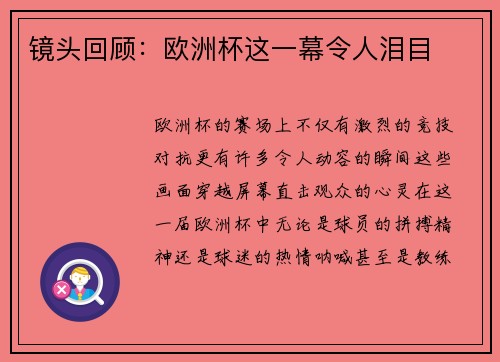 镜头回顾：欧洲杯这一幕令人泪目